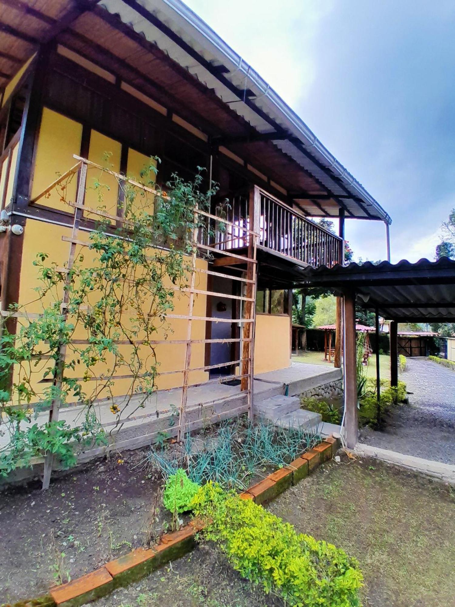 Casa Campo Valle De Cocora Salento Exterior foto