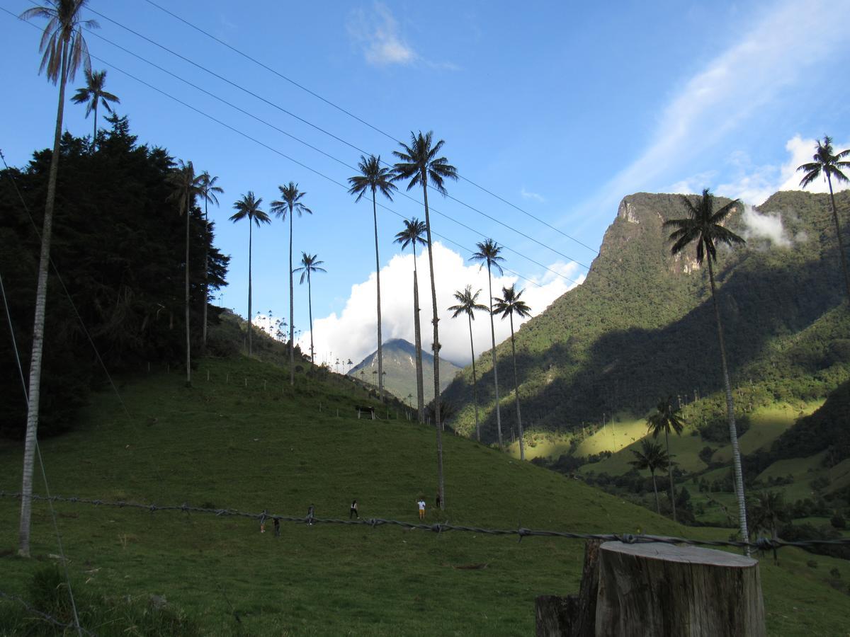 Casa Campo Valle De Cocora Vila Salento Exterior foto